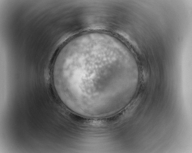 X0000094791266200711301559