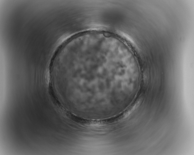 X0000094791267200711301559