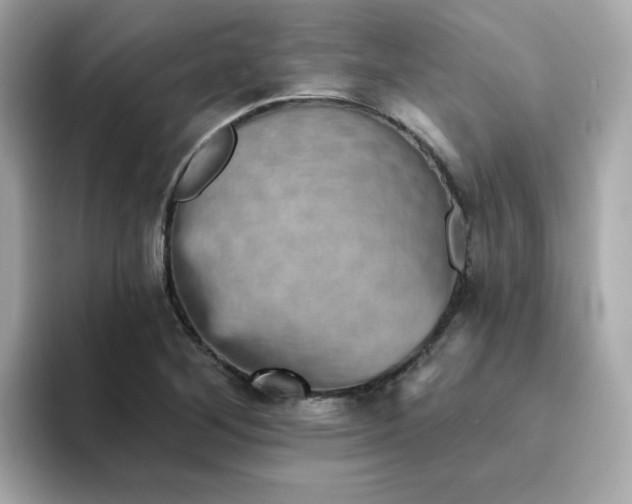 X0000094791268200711301559