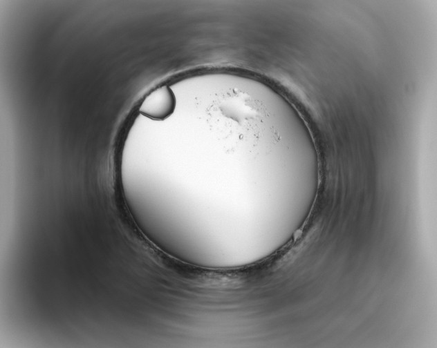 X0000094791270200711301559