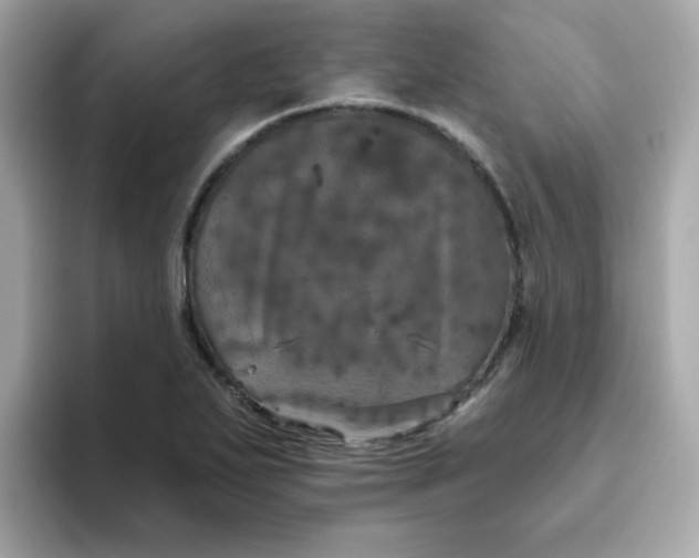 X0000094791271200711301559