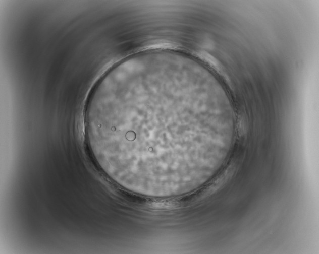 X0000094791274200711301559