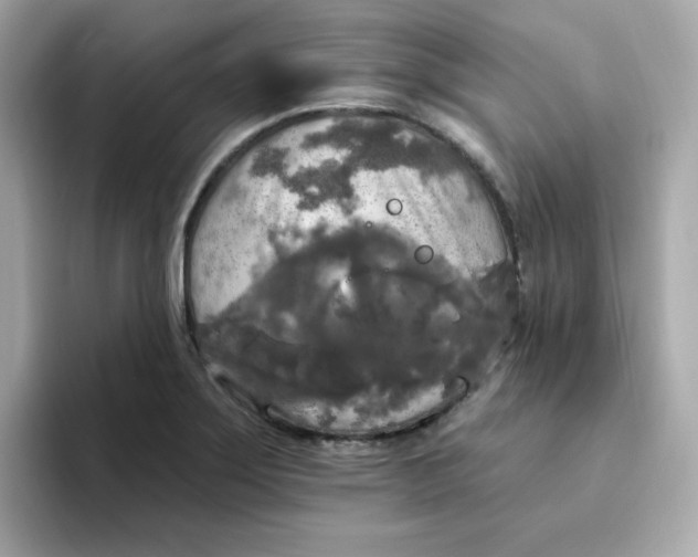 X0000094791275200711301559