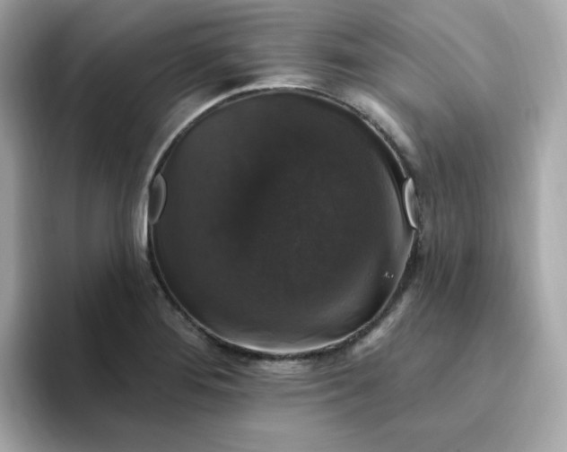 X0000094791276200711301559