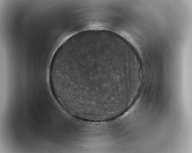 X0000094791277200711301559