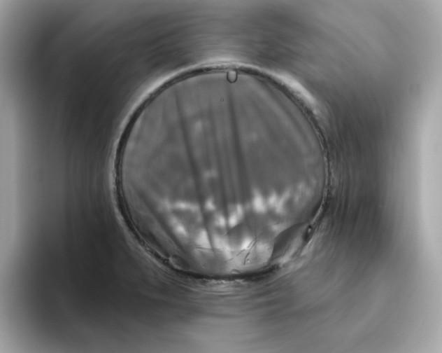 X0000094791279200711301559