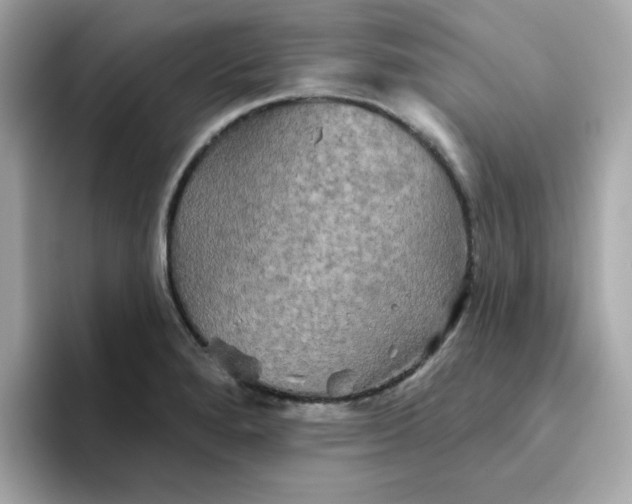 X0000094791280200711301559