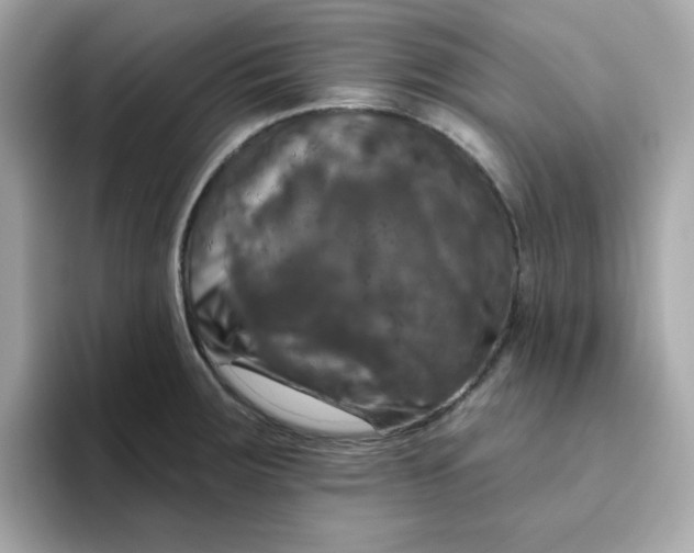 X0000094791283200711301559