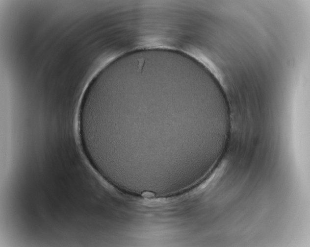 X0000094791285200711301559