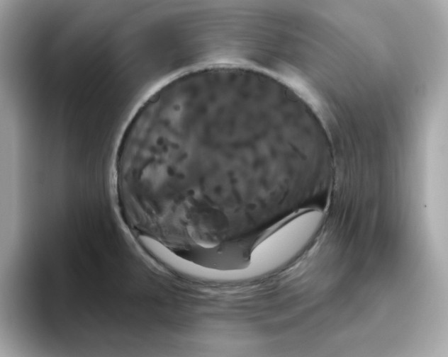 X0000094791287200711301559