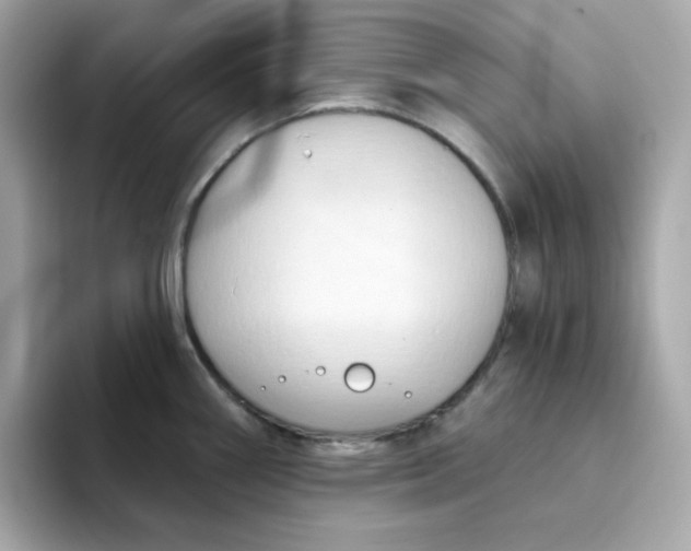 X0000094791290200711301559