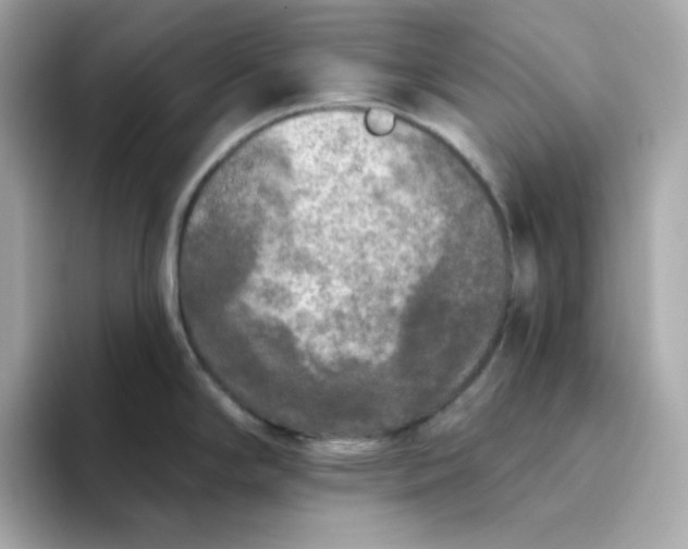 X0000094791294200711301559