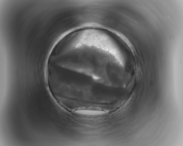 X0000094791295200711301559