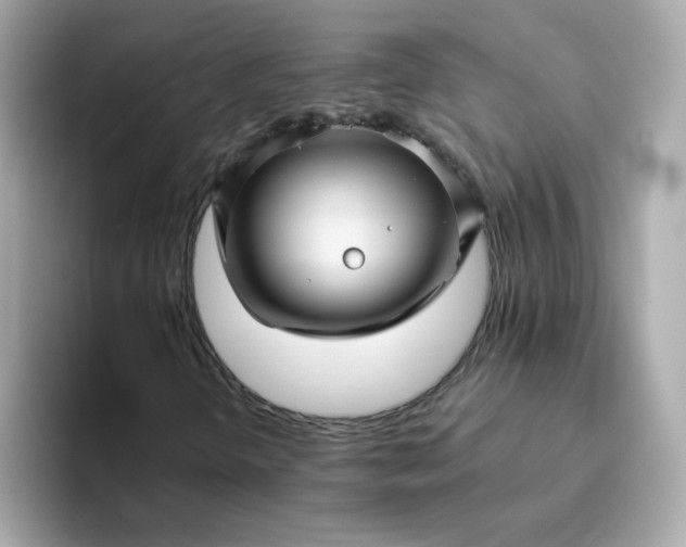 X0000094791298200711301558