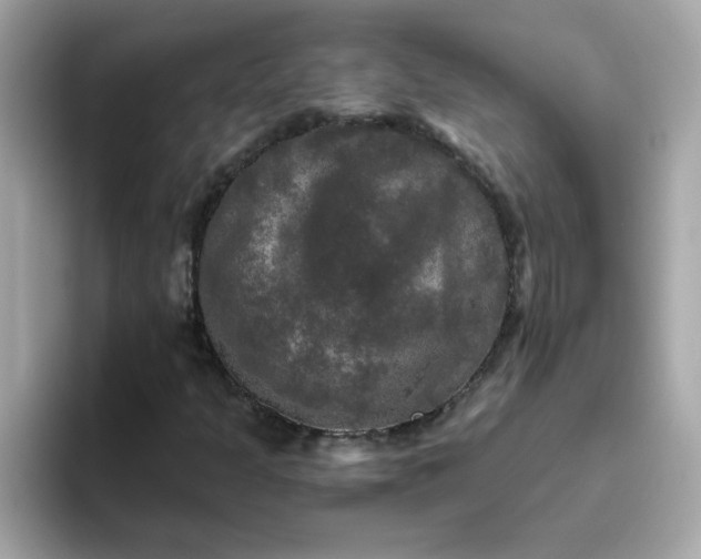 X0000094791301200711301558