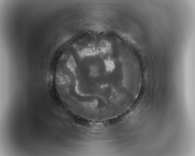 X0000094791302200711301558