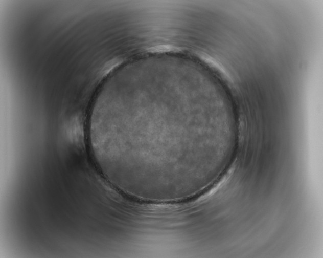 X0000094791305200711301558