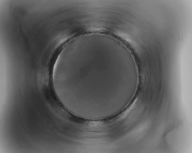 X0000094791306200711301558