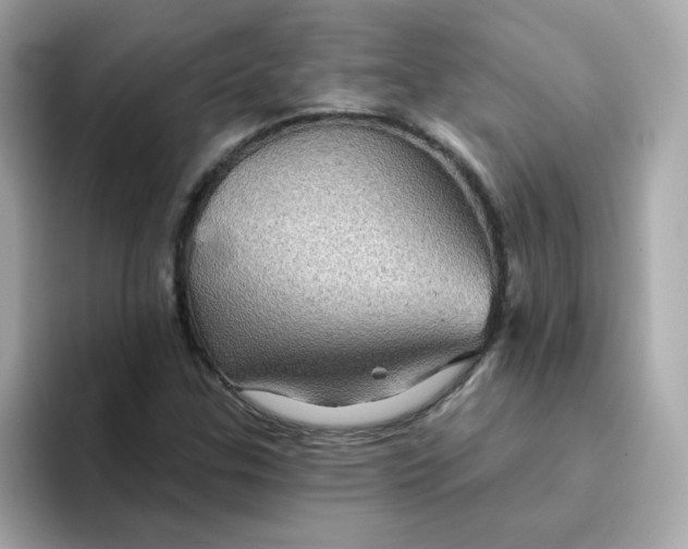 X0000094791307200711301558