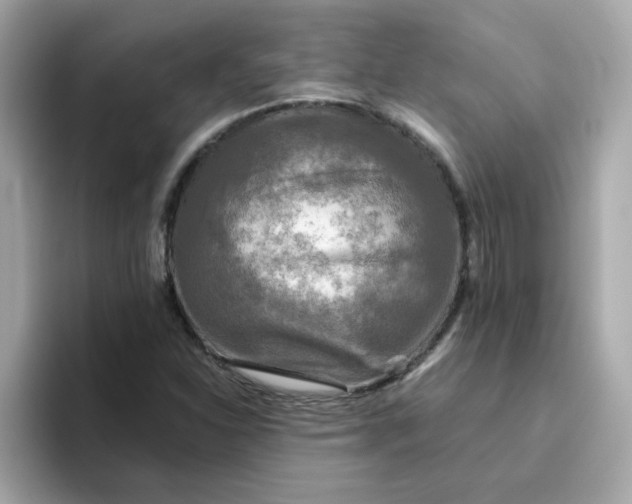 X0000094791310200711301558