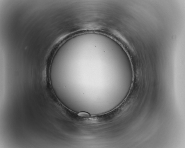 X0000094791315200711301558