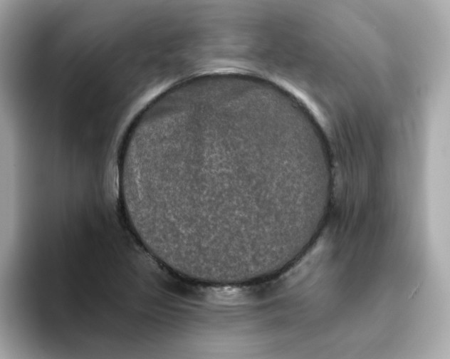 X0000094791317200711301558