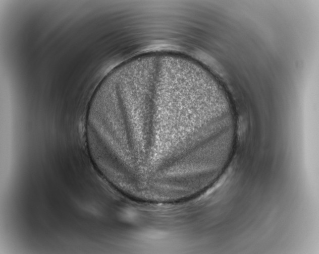 X0000094791321200711301558