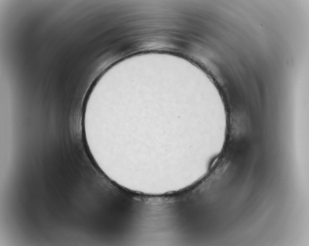 X0000094791322200711301558