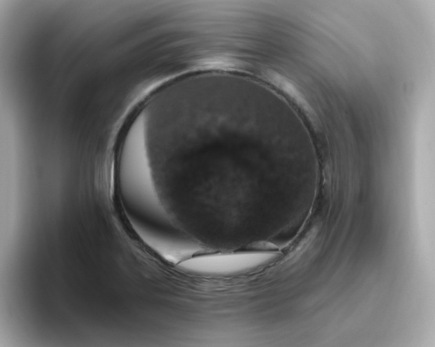 X0000094791323200711301558