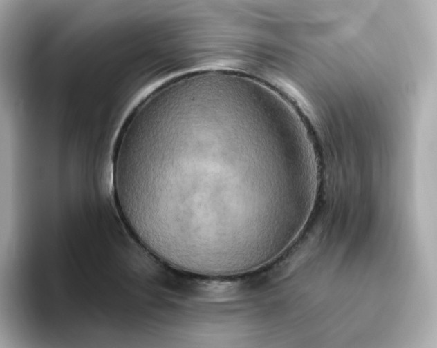 X0000094791324200711301558