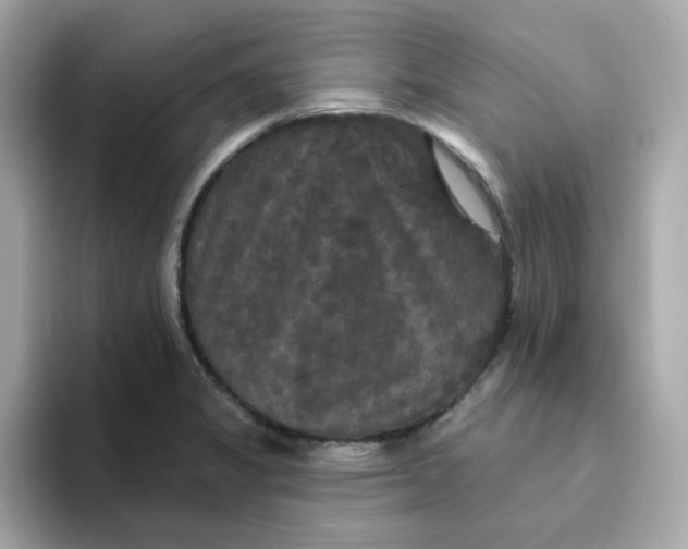 X0000094791325200711301558