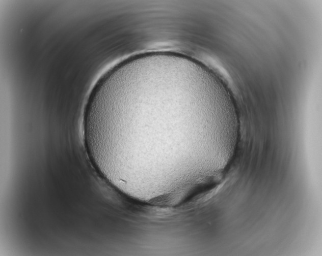 X0000094791328200711301558