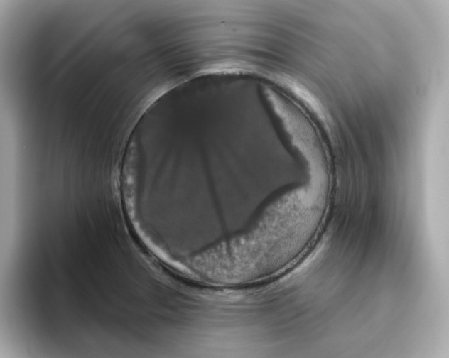 X0000094791329200711301558