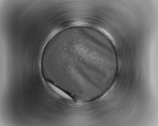 X0000094791330200711301558