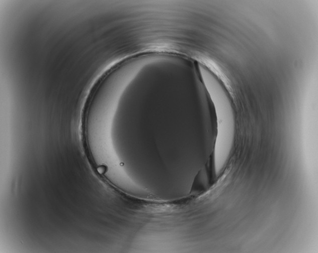 X0000094791331200711301558