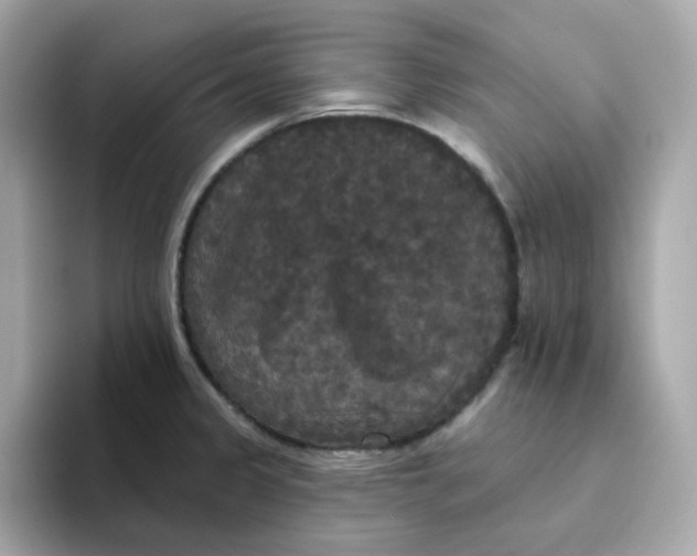 X0000094791333200711301558