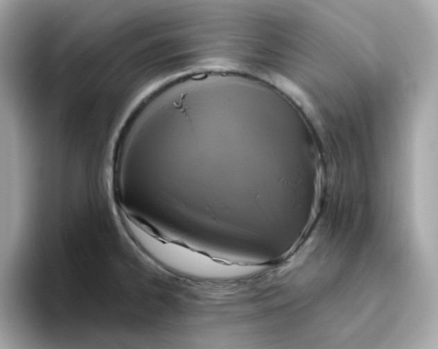 X0000094791334200711301558