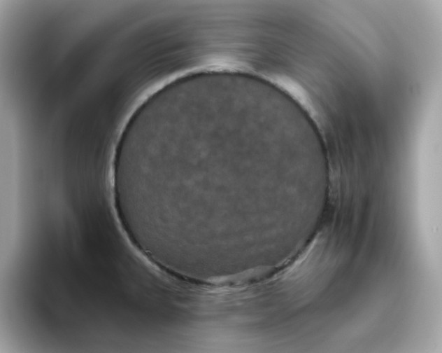 X0000094791335200711301558