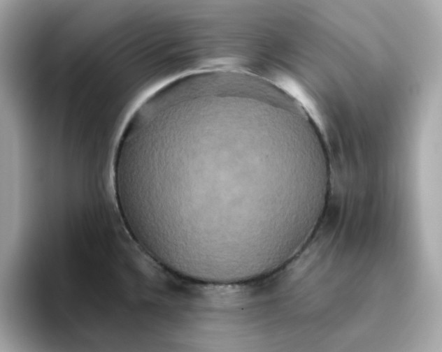 X0000094791336200711301558