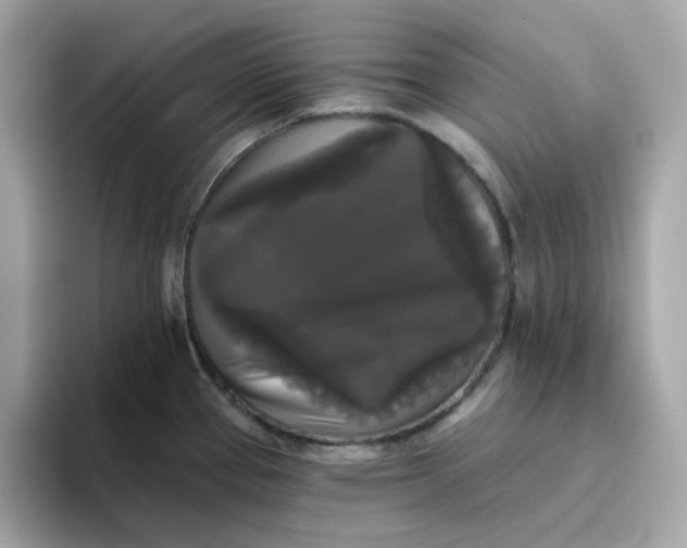 X0000094791337200711301558