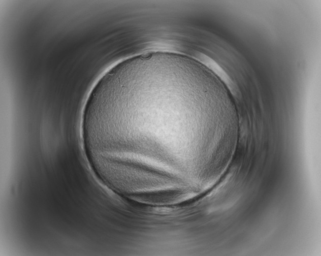 X0000094791339200711301558