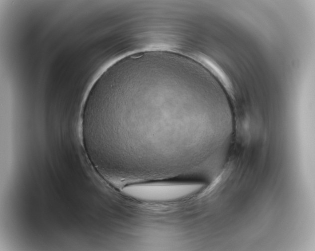 X0000094791340200711301558