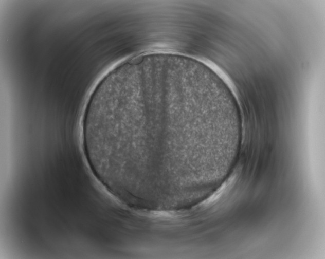 X0000094791341200711301558