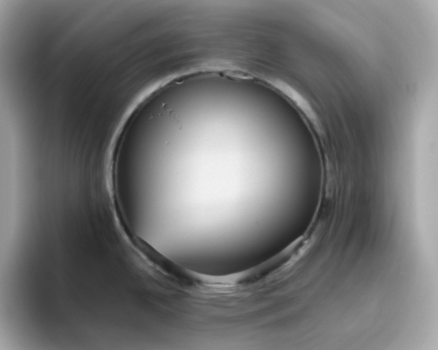 X0000094791342200711301558