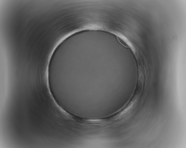 X0000094791343200711301558