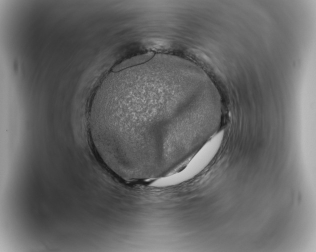 X0000094791345200711301558