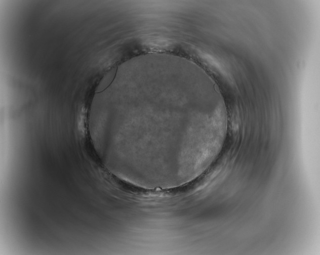 X0000094791346200711301558