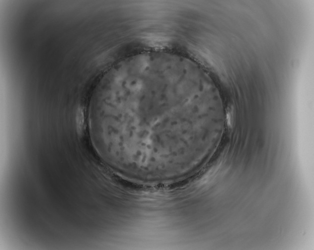 X0000094791347200711301558