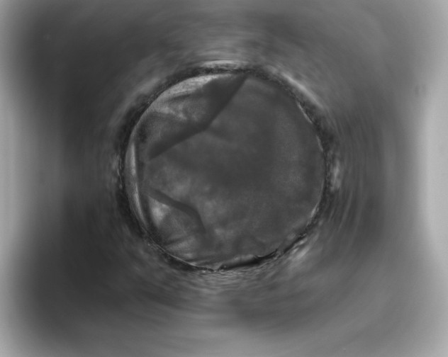 X0000094791351200711301558