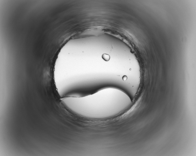 X0000094791353200711301558